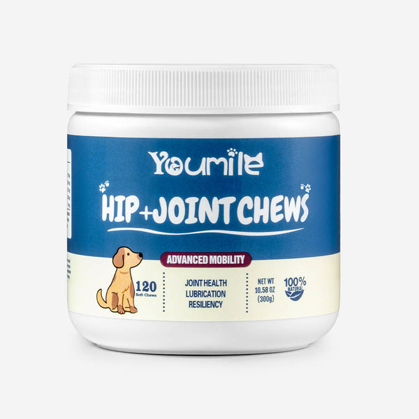 Hip & Joint Dog Supplement Chews for Pain Relief and Inflammation Support - 120 Count