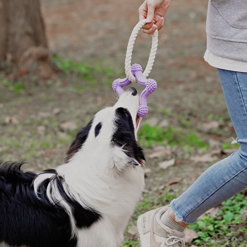 Juguete interactivo para perros de tira y afloja, juguete para masticar de goma con limpieza de dientes