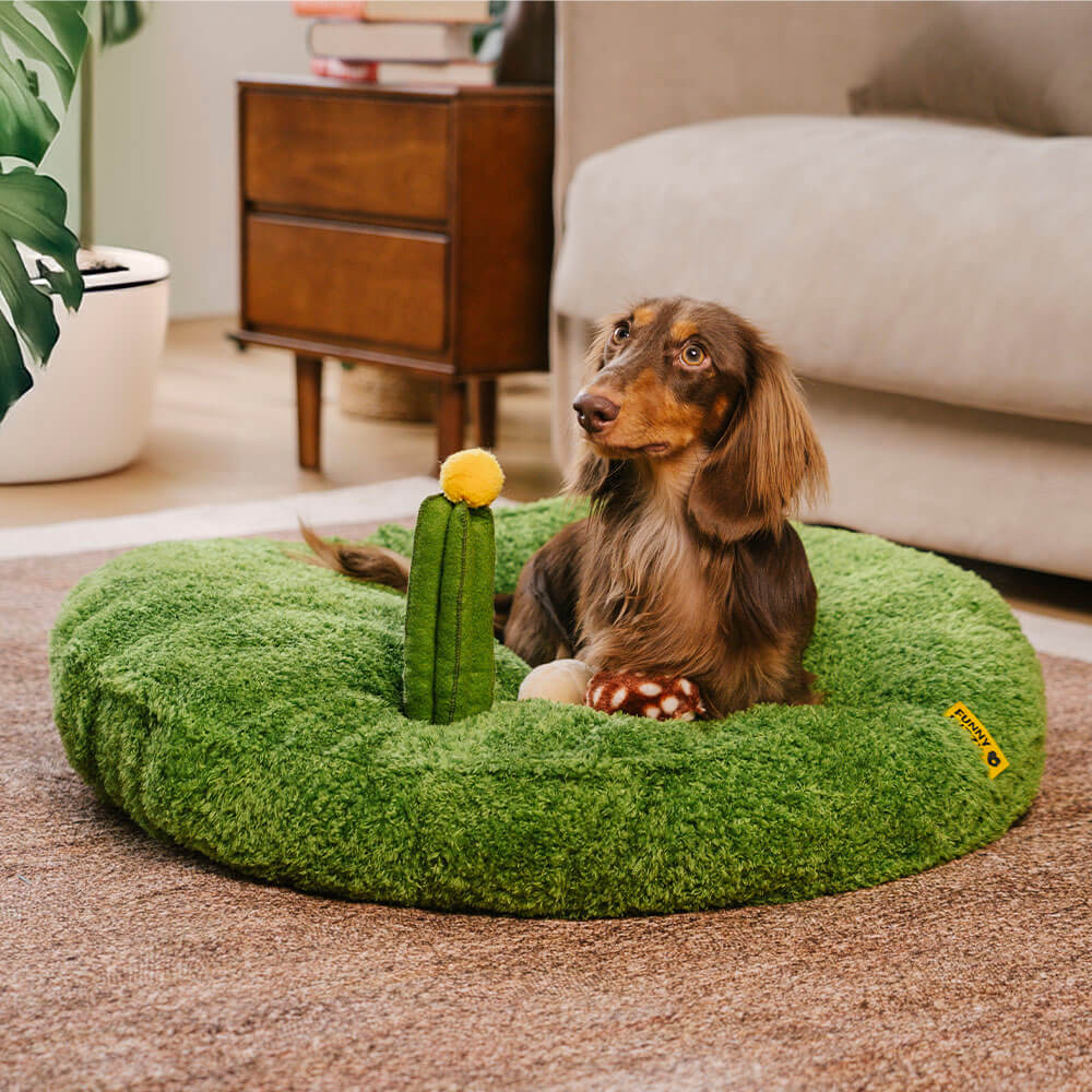 Divertida cama para mascotas Jungle Explorer 2 en 1 - Parque Natural