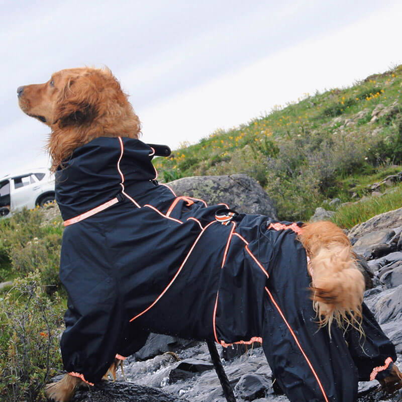 Outdoor-Jacke für große Hunde, wasserdichter, verstellbarer Hunde-Regenmantel