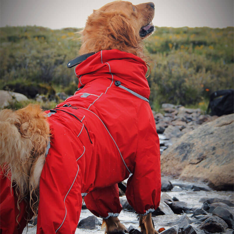 Outdoor-Jacke für große Hunde, wasserdichter, verstellbarer Hunde-Regenmantel