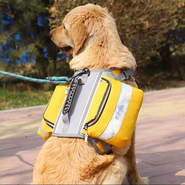 Cani di grosso cani tattica imbracatura del cane