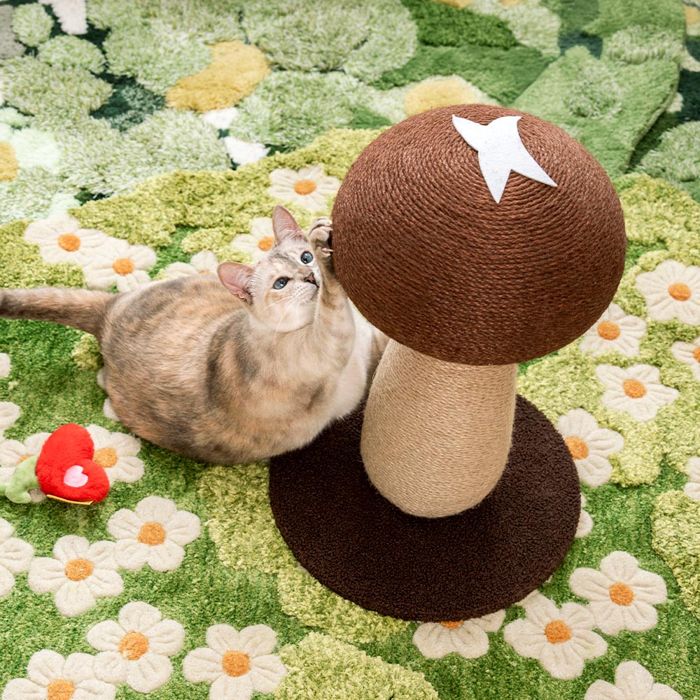 Posta di graffi di sisal naturale a forma di funghi per gatti di grandi dimensioni