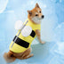 Deportes al aire libre Pet Sol Protection Ropa accesorios para perros frescos chaleco de enfriamiento