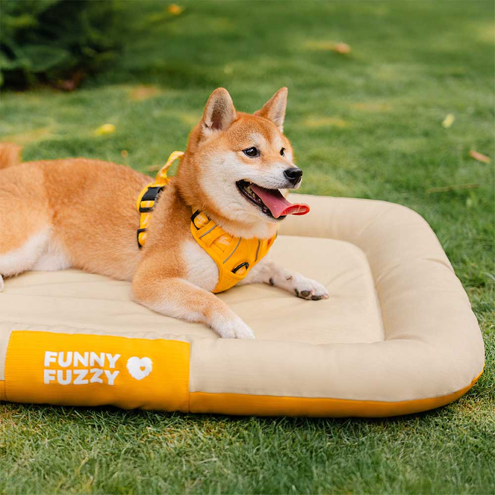 Outdoor Waterproof & Scratch-Resistant Color-Blocked Orthopedic Dog Mat - Trek Lounge