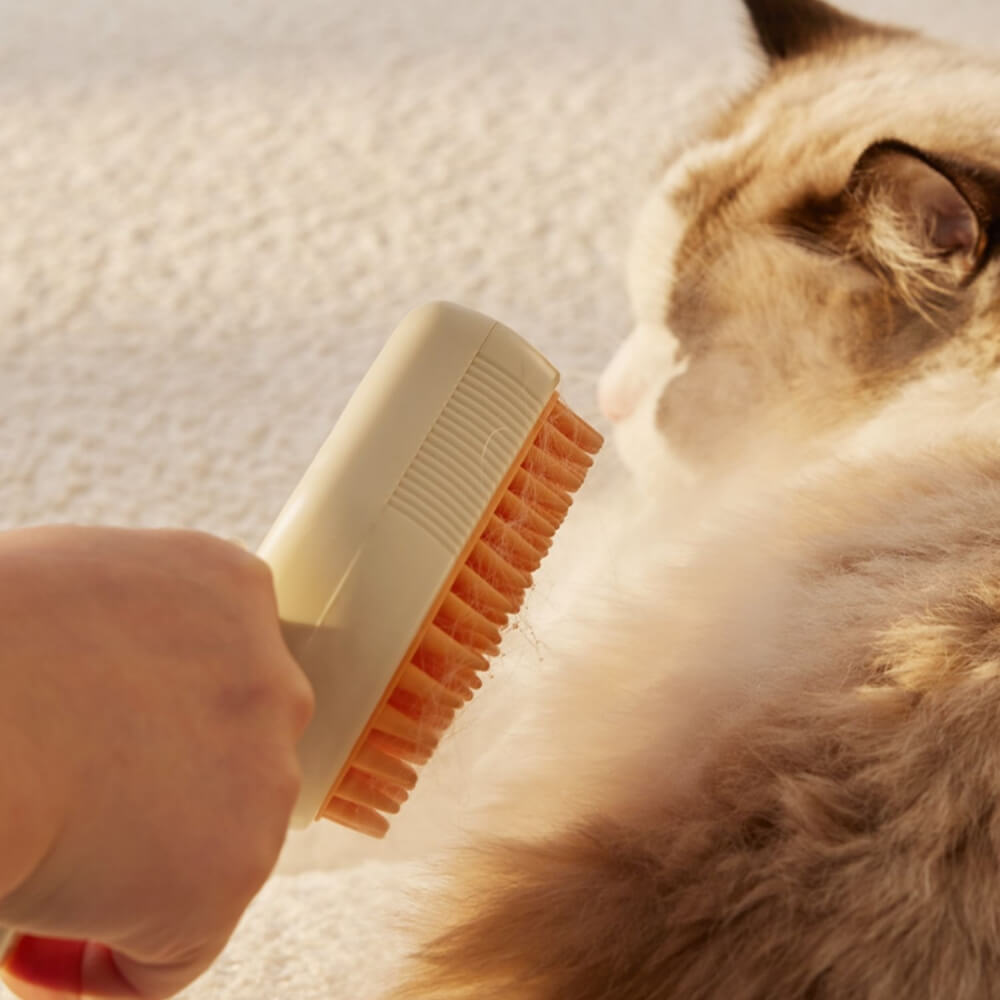 Peigne de toilettage pour animaux de compagnie, peigne de massage par pulvérisation