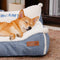Cama de sofá para perros lavable de lujoso - Sweet Creamy