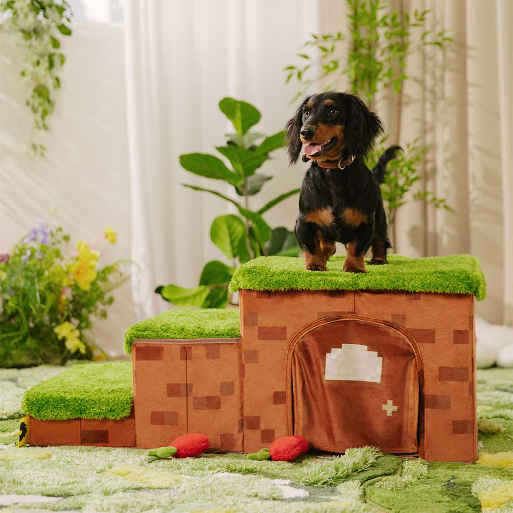 Retro Pixel Handcrafted Foldable Pet Stairs With Storage - Blocky PawGame