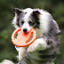 Volante de goma TOY TOY DISCURO DE PARTIVO DEL PERRO