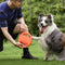 Volante de goma TOY TOY DISCURO DE PARTIVO DEL PERRO