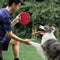 Volante de goma TOY TOY DISCURO DE PARTIVO DEL PERRO