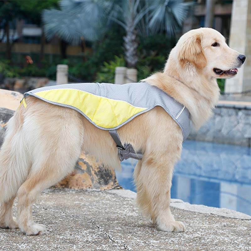 Gilet de refroidissement respirant de protection solaire, veste Cool, accessoires pour chiens, gilet de refroidissement