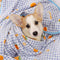 Manta de mascota Super Soft Cat Kicking Blanket