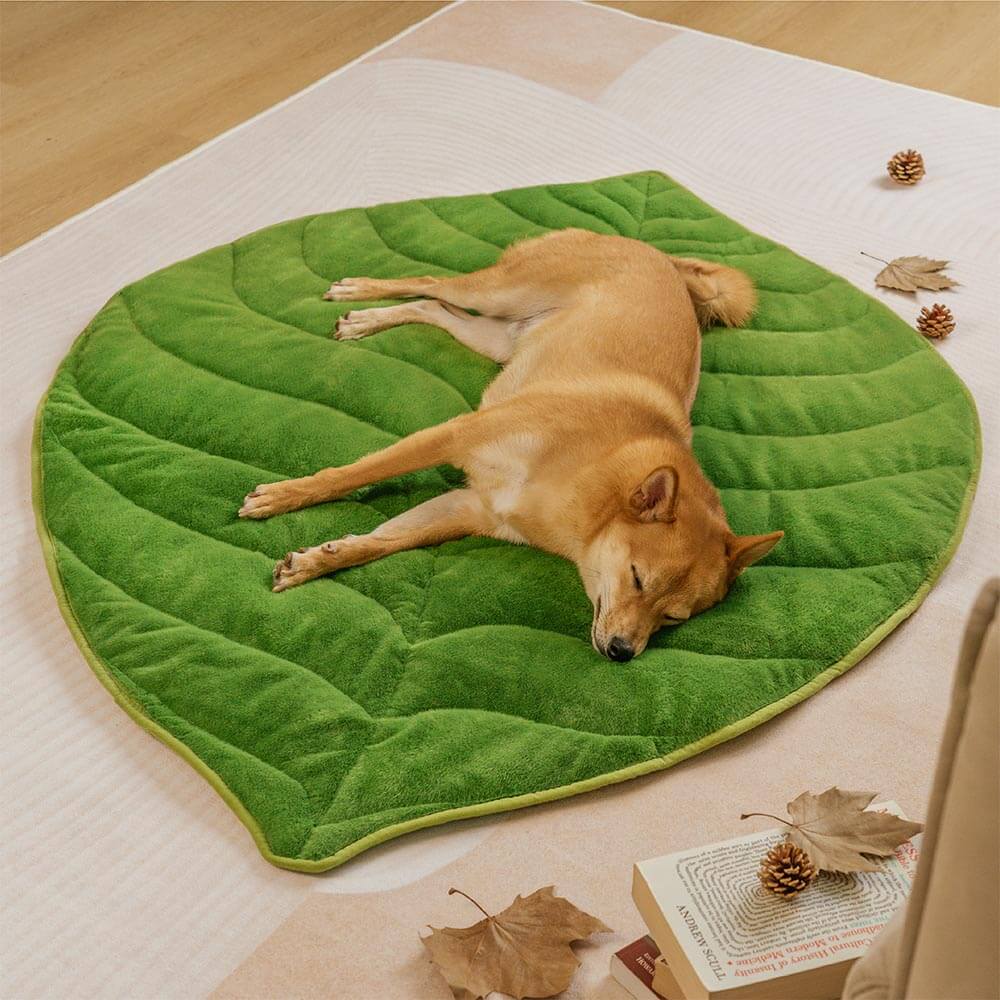 The Leaf Collector - Alfombra para perros lavable con forma de hoja de felpa