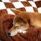 Vintage Schachbrett-Sofa mit orthopädischer Unterstützung, extra großes Hundesofa – King's Sofa