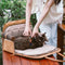 Vogue CAT CAT CAT CAT CAT CAT CAT CAT CATER-City Roamer