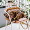 Vogue Eco-friendly Multi-Functional Pet Travel Bag-City Roamer