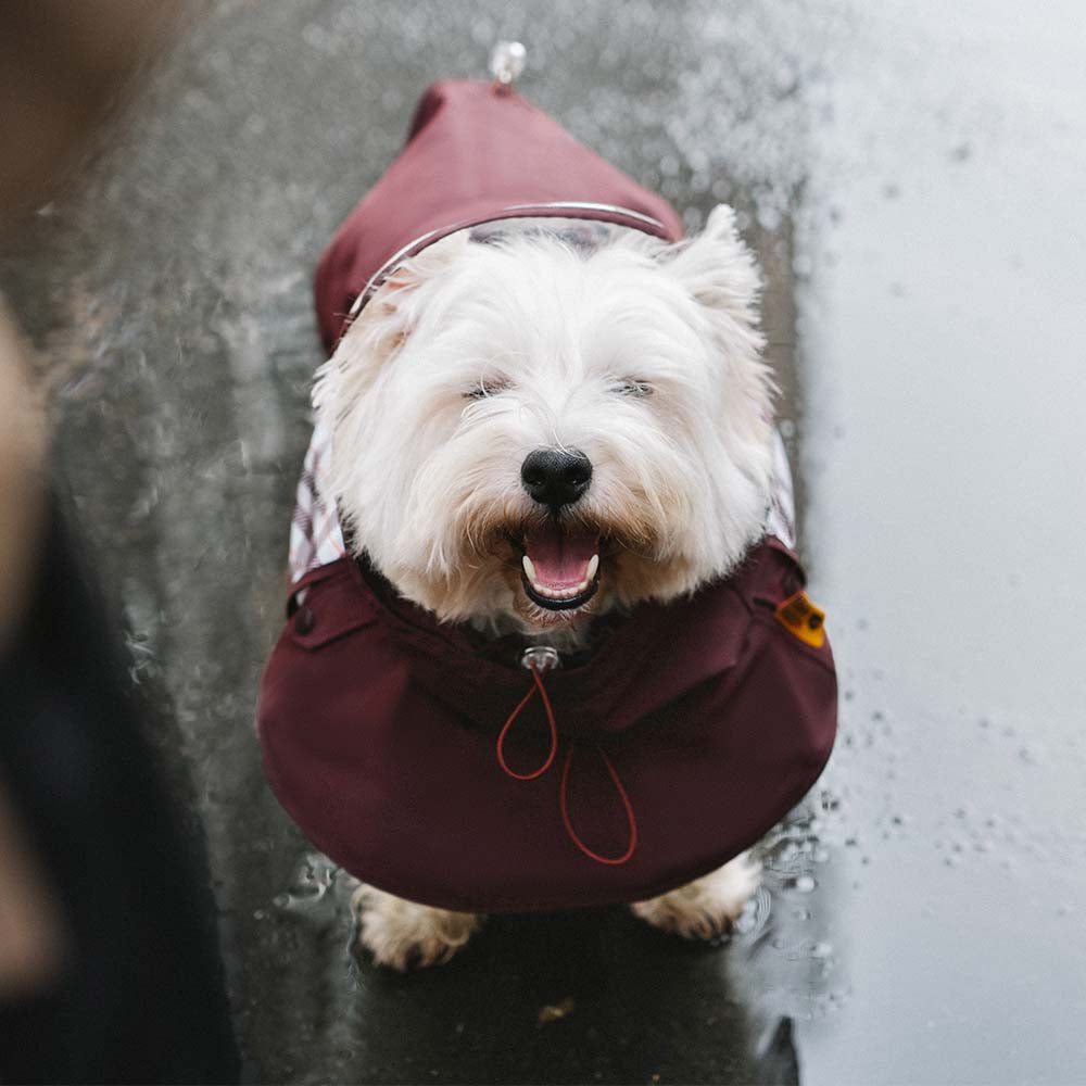 Imperméable réglable à carreaux vintage pour chien - Protection contre les intempéries
