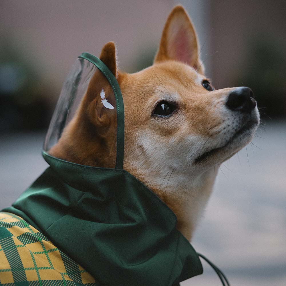 Imperméable réglable à carreaux vintage pour chien - Protection contre les intempéries