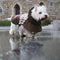 Impermeable a cuadros vintage a cuadros Rair para perros ajustables - Protección para todo clima