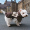 Impermeable a cuadros vintage a cuadros Rair para perros ajustables - Protección para todo clima