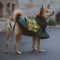 Impermeable a cuadros vintage a cuadros Rair para perros ajustables - Protección para todo clima