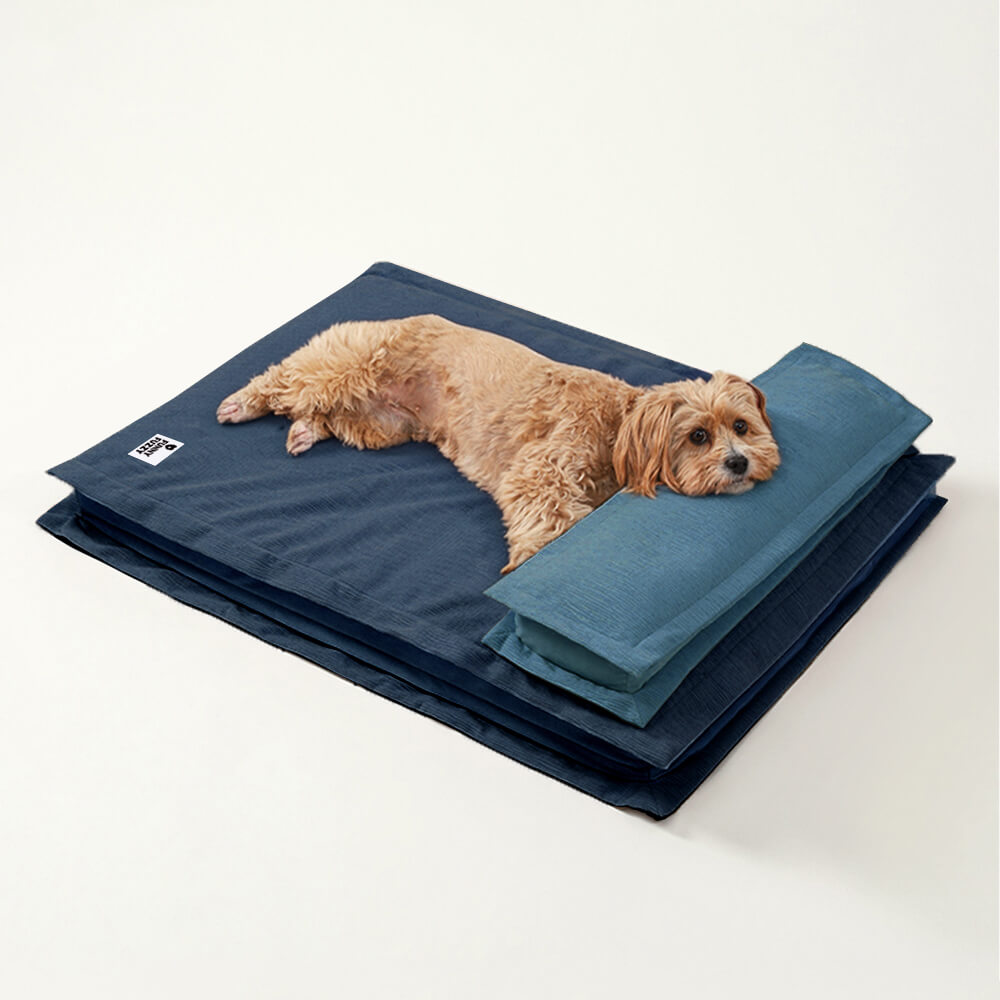 Anti-Anxiety with Sponge Support Deep Sleeping Dog Bed