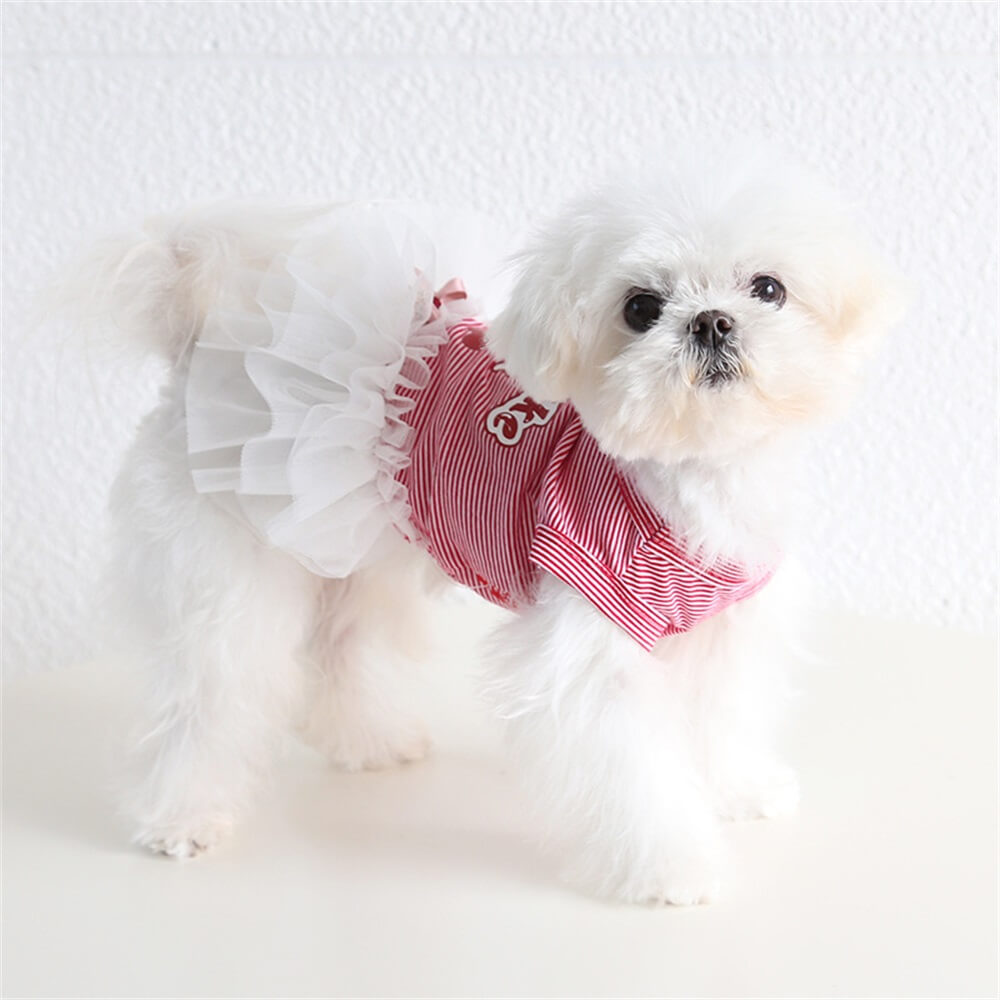 Pet dog clothes cherry stripes fashionable couple skirt or vest