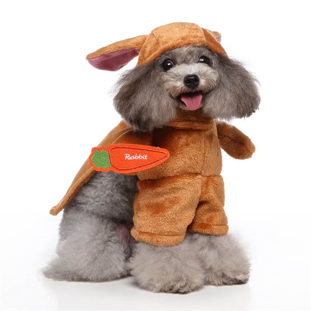 Cosplay Dog Halloween Funny Costumes - Fun & Adorable Pet Outfits