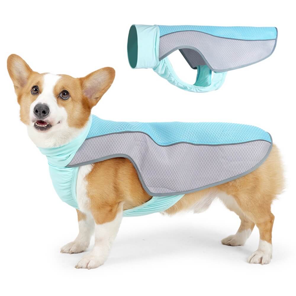 Ropa para mascotas Perro Verano Protección contra el calor - Ropa fresca de hielo para perros