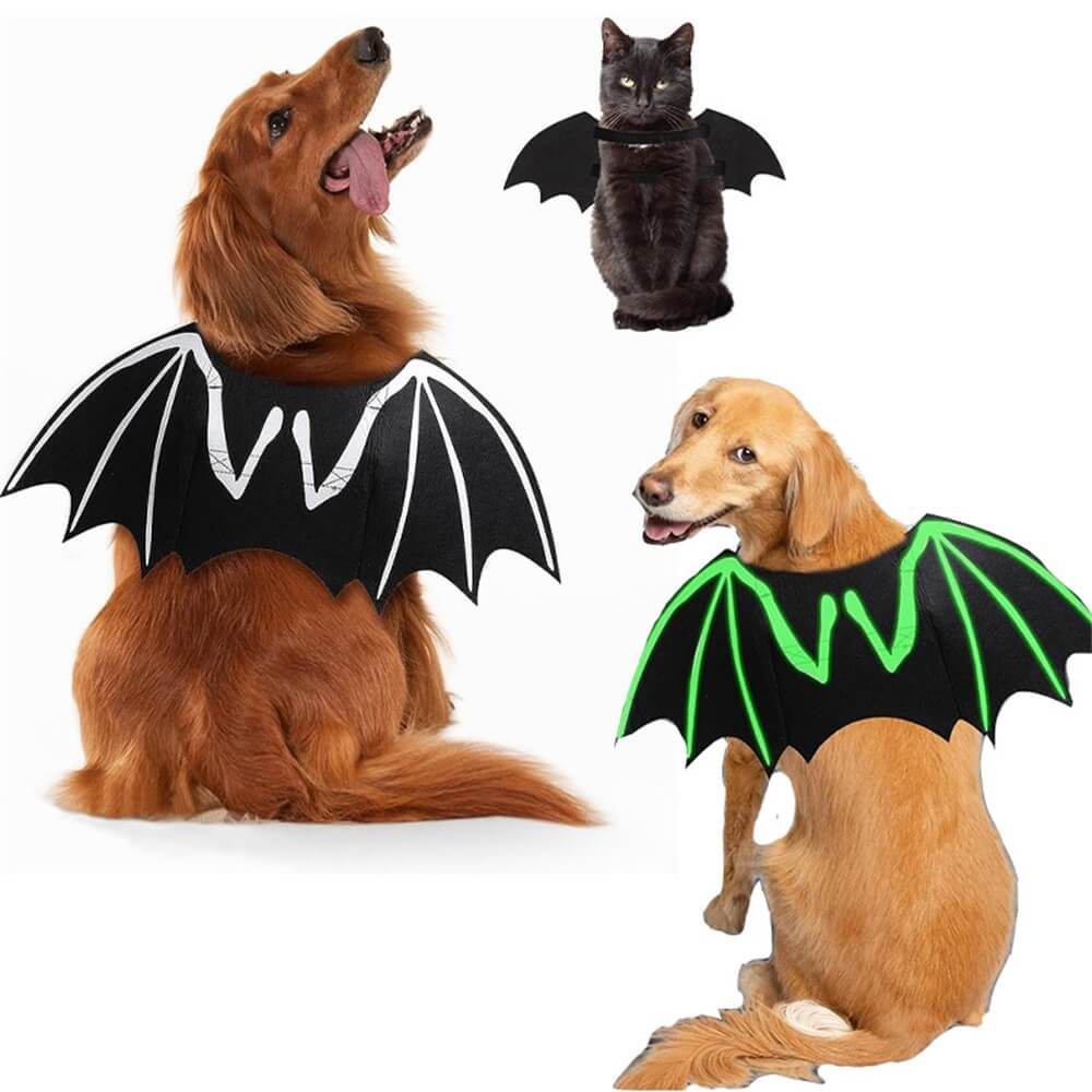 Luminous Skull Bat Wings Halloween Dog Costume | Pet Role Playing Props