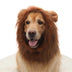 Disfraz de perros de Lion Mane: perfecto para Halloween y diversiones divertidas