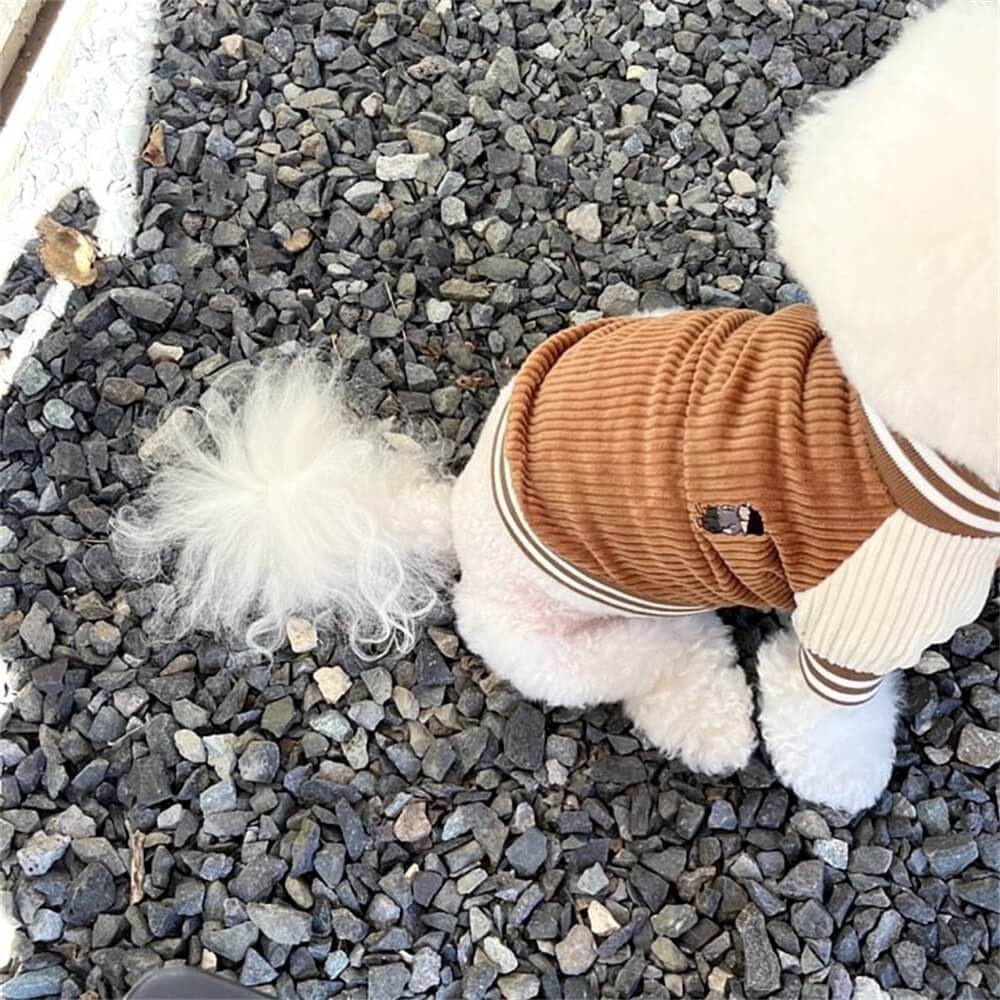 Corduroy Bomber Jacket for Dogs - Stylish and Warm for Small Breeds