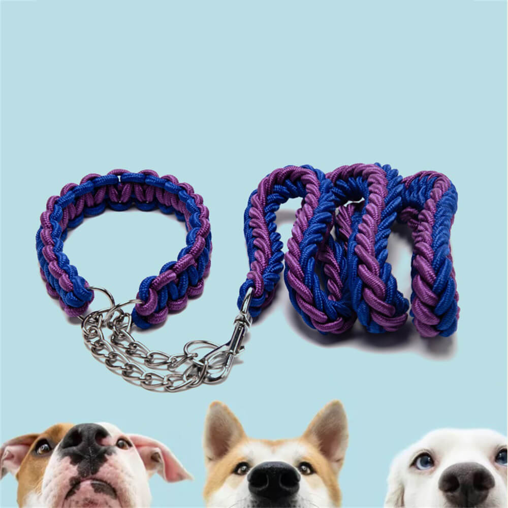 Explosion-Proof Nylon Braided Dog Leash and Collar