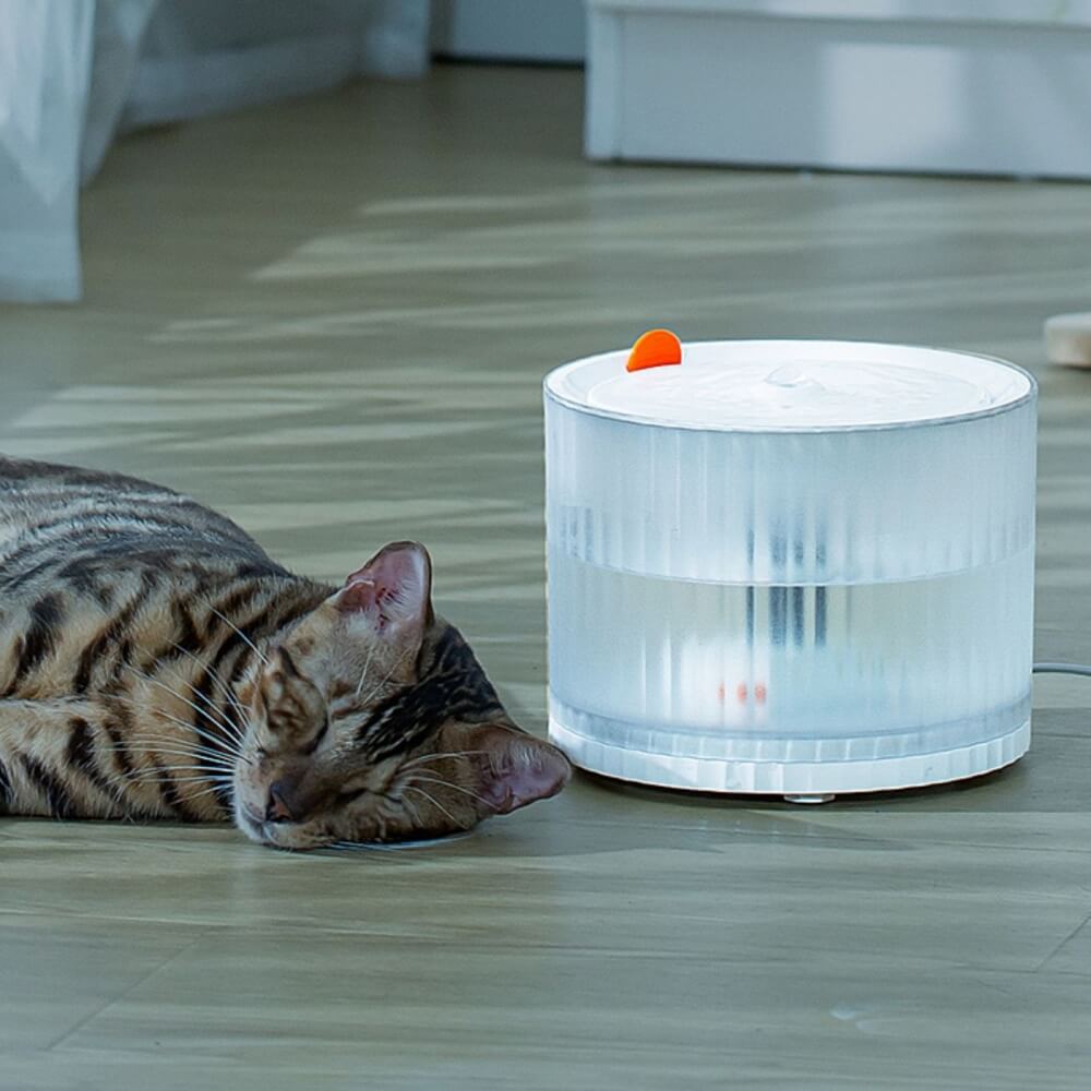 Distributeur d'eau intelligent pour animaux de compagnie à cycle automatique anti-fuite