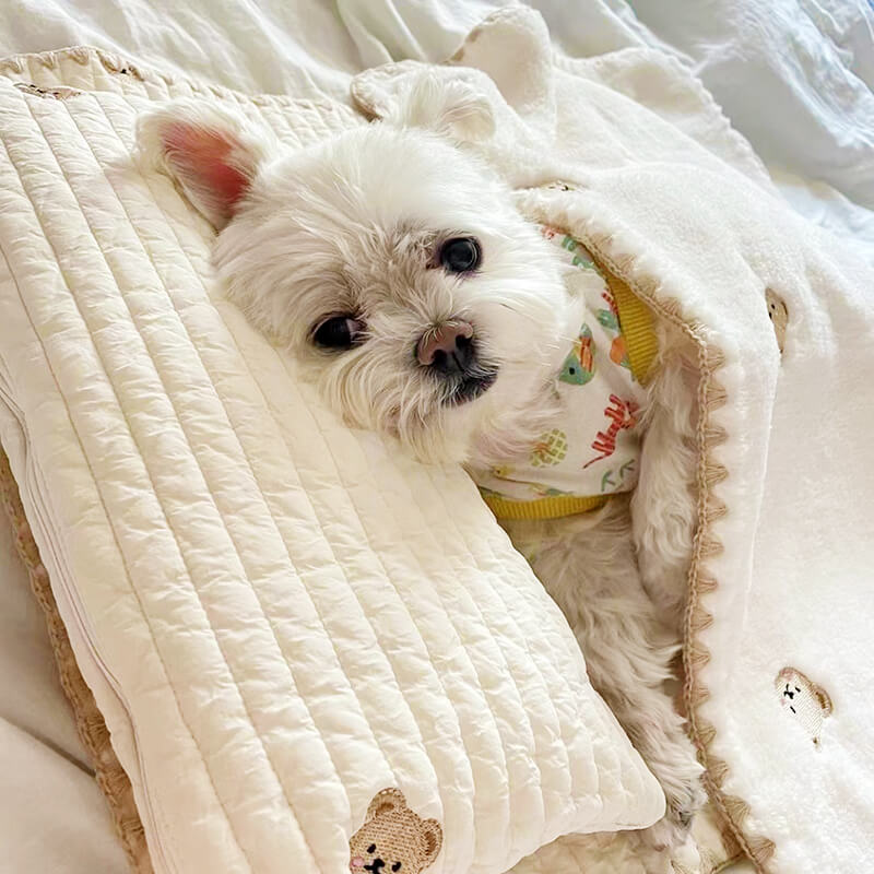 Acogedor juego de cama con edredón y almohada para mascotas de algodón bordado