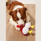 Funny Plush Squeaky Dog Toy - Butt