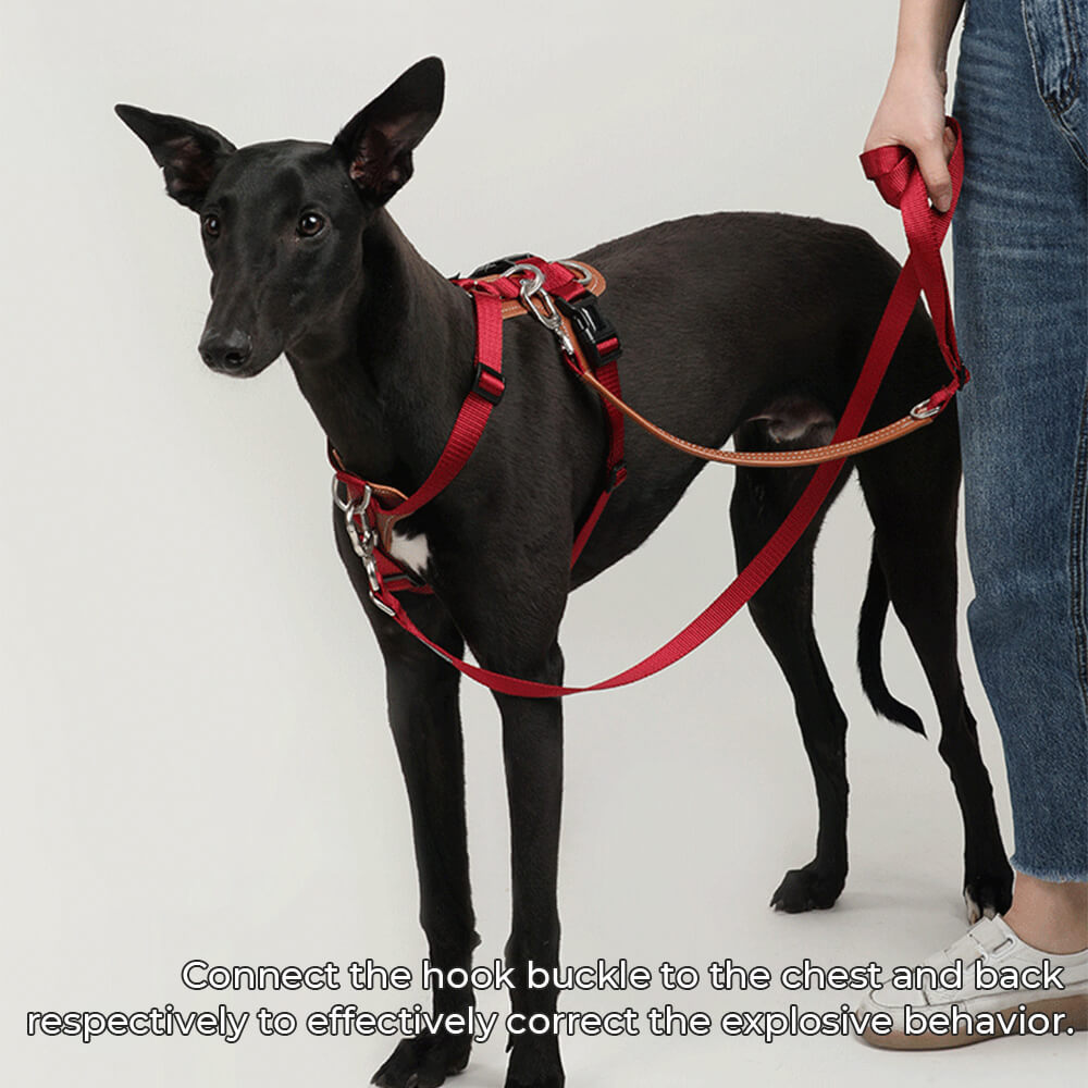 Ensemble de harnais de marche anti-traction mains libres multifonctionnel pour chien avec sac de rangement