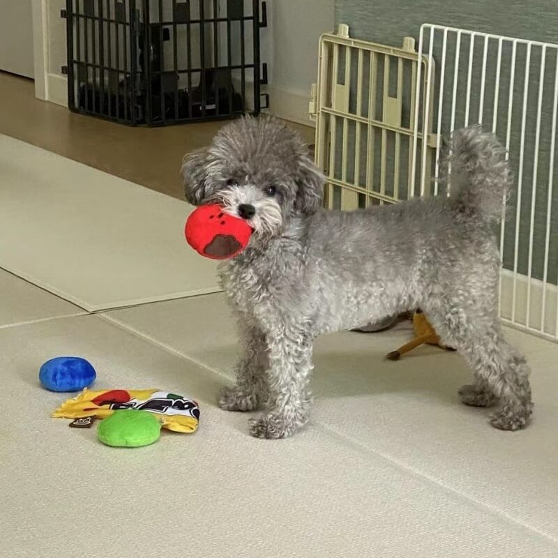 Plüsch-Süßigkeitenspielzeug, tibetisches Futterspielzeug, Hundespielzeug