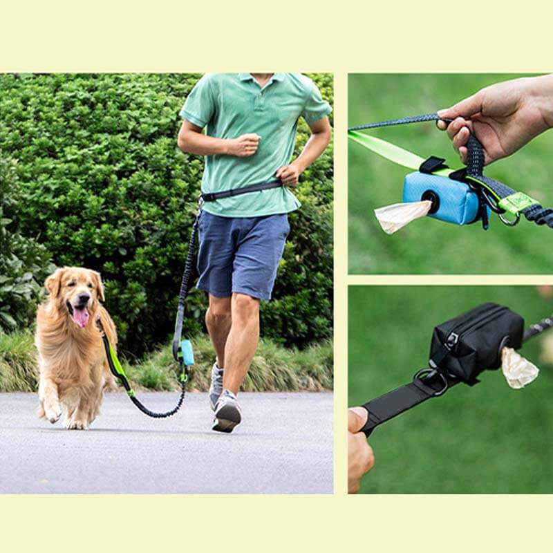 Distributeur portatif de sac de déchet de chien de sac de marche de chien de tissu d'Oxford