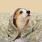 Manta de mascota Super Soft Cat Kicking Blanket