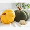 Cuscino per cuscini di zucca in pile di orsacchiotto
