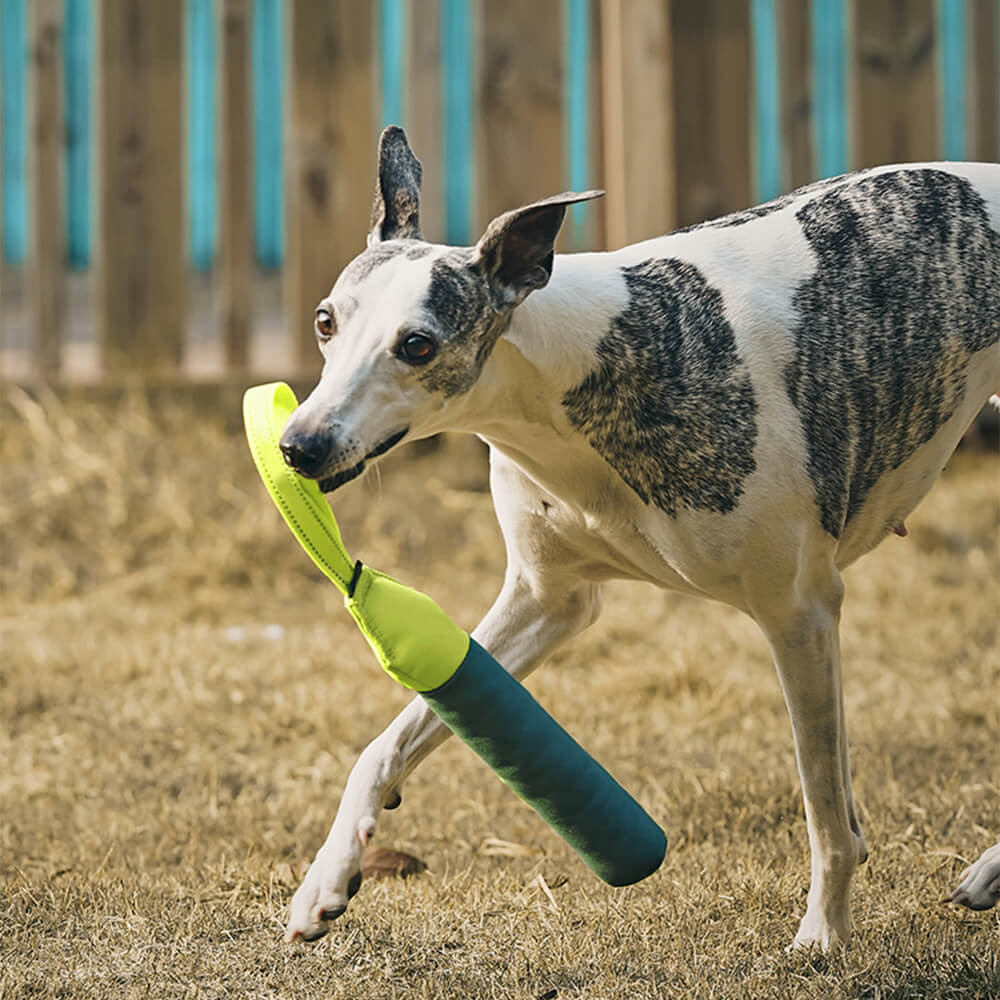 Juguete interactivo ultraduradero que flota en el agua para perros