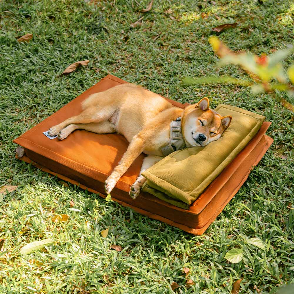 Anti-Angst-Tiefschlaf-Hundebett mit Schwammunterstützung