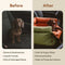 Letto del sedile per auto con cani in fico deluxe in vetro - Urban Voyager