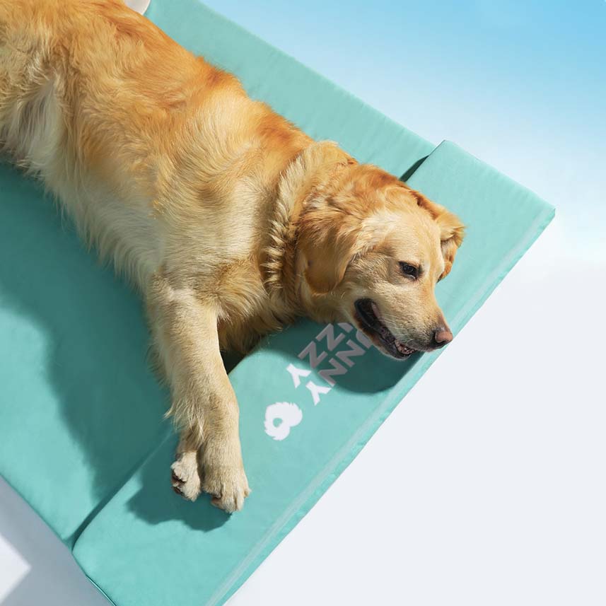 Lit orthopédique imperméable pour chien - Océan