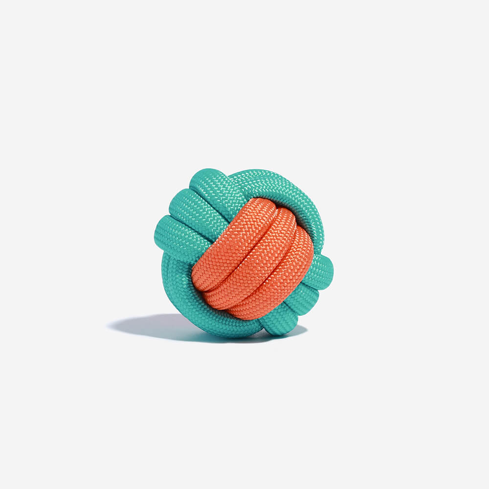 Knots Ballwerfendes Hundespielzeug – Color Clash