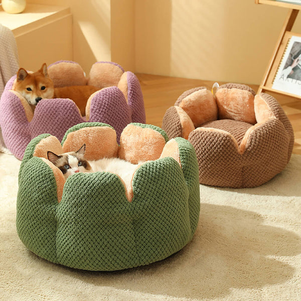 Cactus Shape Comodo letto per animali domestici