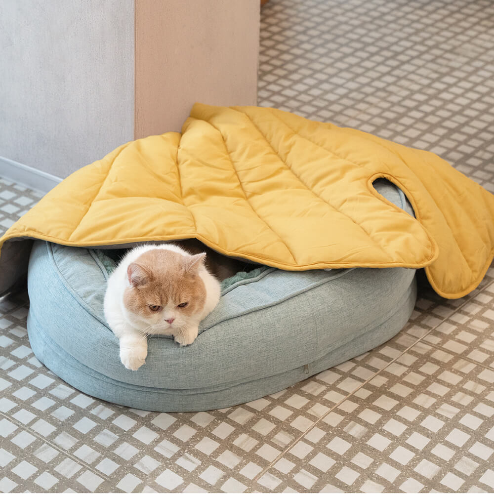 Donut Orthopedic Dog Bed