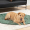 Coperta per cane umano a forma di foglia super grande